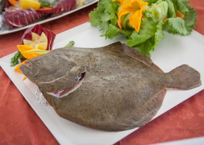 Bologna Misano Adriatico