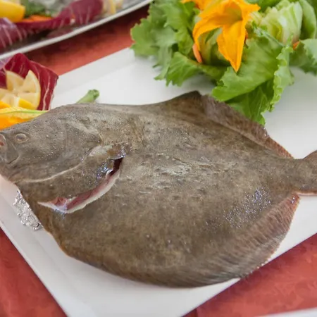 Bologna 米萨诺阿德里亚蒂科